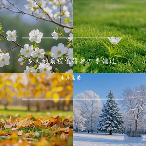 纲手吃雷影大狙的由来和寓意
